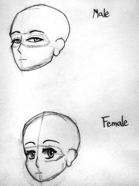 Free reference Anime Head 3/4 View, How To Draw A Face 3/4 View, Head 3/4 View, Head Shot Reference Drawing, 3/4 Head Drawing, Anime 3/4 View, Head From Behind Reference, 3/4 View Reference, Head Tilted To The Side Reference