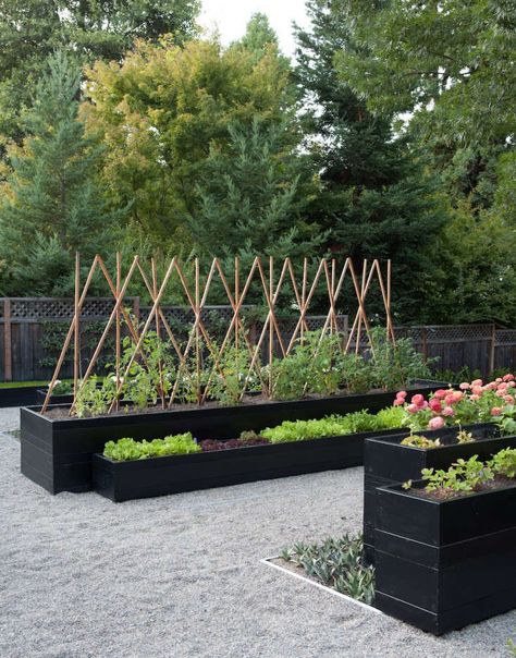 Gravel: 10 Drainage Ideas to Steal for a Landscape Modern Raised Bed Garden Design, Cold Frame Gardening, Backyard Vegetable Gardens, Raised Garden Beds Diy, Gravel Garden, Black Garden, Garden Types, Garden Pictures, Vegetable Garden Design