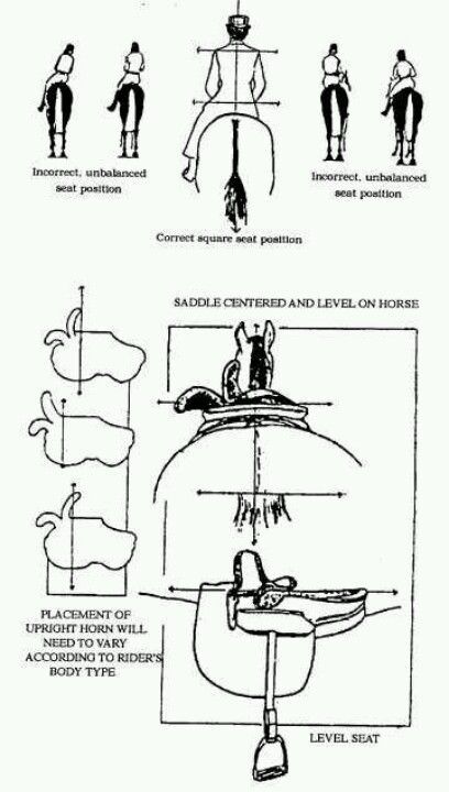 Side saddle                                                                                                                                                                                 More Horse Info, Riding Clothes, Side Saddle, Regency Period, Horse Riding Clothes, Horse Inspiration, Types Of Horses, Horse Equipment, Horse Gear