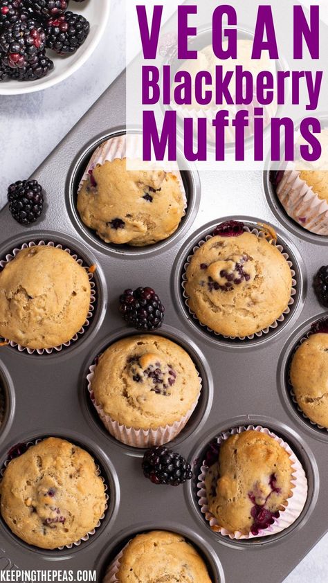 Moist and fluffy, these vegan blackberry muffins are simple to make, and the perfect breakfast, snack, or dessert! They're oil-free, dairy-free, and eggless, and can easily be made gluten-free too! Vegan Blackberry Muffins, Blackberry Muffins Healthy, Vegan Banana Bread Muffins, Blackberry Muffin Recipe, Choc Muffins, Blackberry Muffins, Blackberry Muffin, Blackberry Recipes, Toddler Recipes