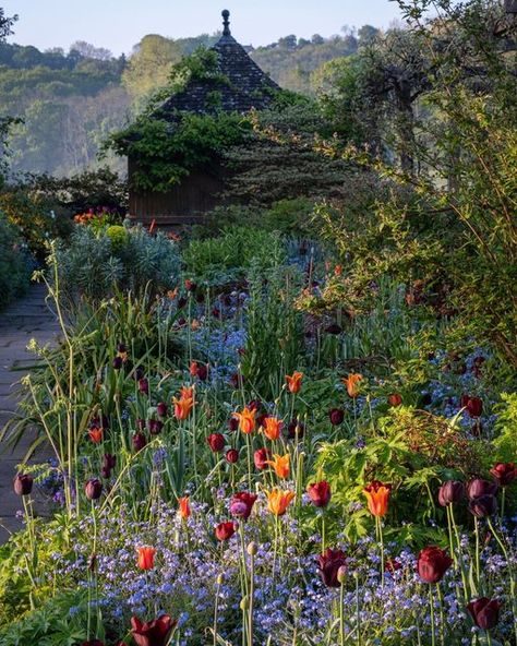 Gravetye Manor on Instagram: "Its tulip time 🌷so good to see so much colour in the garden at last ✨  Stunning images by @markboltonphoto   #gravetyemanor #gravetyemanorgarden #relaischateaux #pobhotels #sussex" Gravetye Manor Gardens, Gravetye Manor, Beautiful Gardens Landscape, Manor Garden, Green Giant, Tulips Garden, At Last, In The Garden, Beautiful Gardens