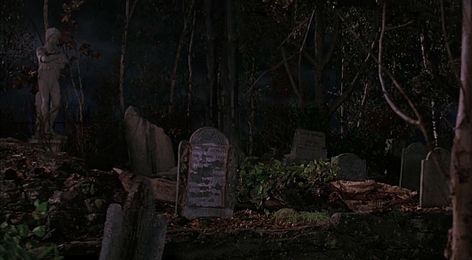 Hocus Pocus Graveyard, Halloween Movies, Curly Hair Tips, Hocus Pocus, Hair Tips, Graveyard, Small Town, Cemetery, Hair Hacks