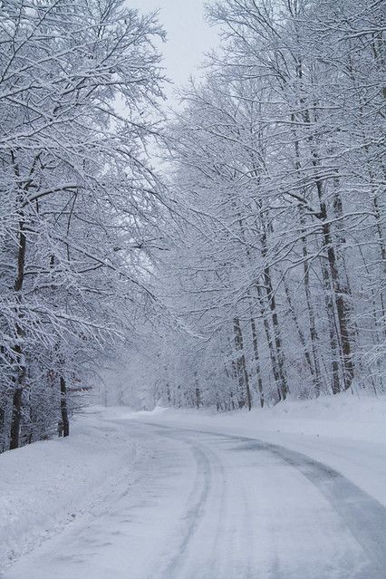 Snow Widget, Perspective Scenery, Snowy Terrain, Snow Picture, Winters Tafereel, Winter Road, Snow Pictures, Winter Photos, Winter Love