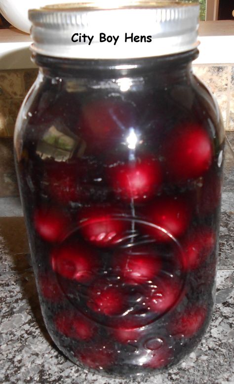 Moonshine Cherries Recipe, Vodka Cherries Recipe, Vodka Cherries, Cherry Soaked In Alcohol, Drunken Cherries Recipe, Drunken Cherries, Cherry Bounce, Dill Pickle Vodka, Recipes Using Dill