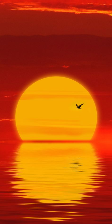 Sun, sunset, minimal, silhouette Wallpaper Seni Arab, الفن الرقمي, Sunset Silhouette, Silhouette Painting, Canvas Paint, Soyut Sanat Tabloları, Seni 3d, Red Sun, Simple Acrylic Paintings