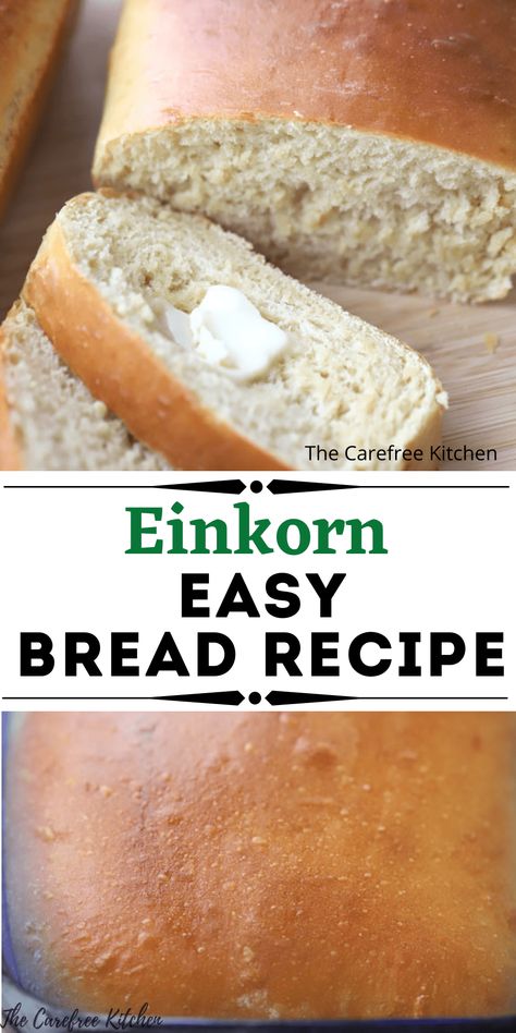 Einkorn White Bread Einkorn Flour Dinner Rolls, Easy Einkorn Bread, Einkorn Cinnamon Bread, Bread Machine Einkorn Bread, Einkorn Recipes Breads, Jovial Einkorn Bread Recipes, Einkorn Quick Bread, Einkorn Flour Bread Machine Recipes, Einkorn Flour Bread