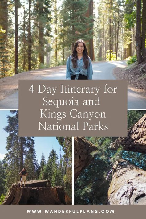 4 Day Itinerary for Sequoia and Kings Canyon National Parks - Wanderful Plans Kings Canyon And Sequoia National Park, Yosemite Kings Canyon Sequoia, Yosemite Sequoia Kings Canyon, Yosemite And Sequoia Itinerary, Sequoia National Park Itinerary, Sequoia And Kings Canyon National Park, Sequoia National Park Aesthetic, Cousins Trip, Yosemite Sequoia