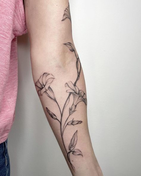 Morning Glory Wrap Around Tattoo, Morning Glory Forearm Tattoo, Dainty Morning Glory Tattoo, Morning Glory Tattoo Sleeve, Morning Glory Arm Tattoo, Morning Glory Tattoo Black And White, Morning Glory Line Art, Morning Glory Vine Tattoo, Morning Glory Tattoo Simple