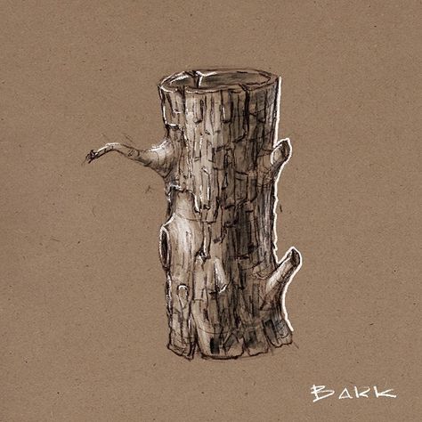 Tree Bark Drawing Texture, Tree Bark Illustration, Tree Bark Sketch, Tree Bark Watercolor, Treebark Fanart, Tree Trunk Sketch, Tree Texture Drawing, Tree Bark Drawing, Bark Drawing