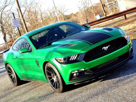 1000hp 2015 Mustang 5.0 GT Green Mustang, Mustang 2005, Ford Mustang 2015, Mustang 2015, S550 Mustang, Best Car Insurance, 2015 Mustang, Shelby Gt, 2015 Ford Mustang