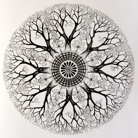 @Ashlee Outsen Outsen Outsen Mazzei  this is totally what i want! Not actually a mandala but even better Circle Tattoo Design, Circle Tattoo, Design Mandala, Mandalas Painting, Tree Of Life Tattoo, Celtic Tree Of Life, Mandalas Drawing, Mandala Tattoo Design, Celtic Tree