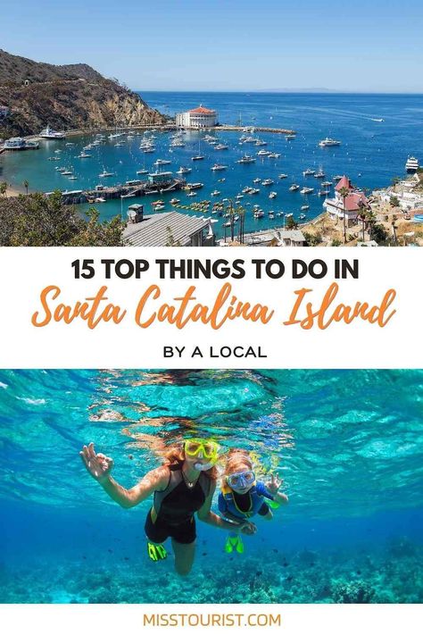 From kayaking to hiking, these are the top things to do in Santa Catalina Island for a fun-filled vacation! Things To Do On Catalina Island, Day Trip To Catalina Island, Catalina Island Cruise Port, Santa Catalina Island California, Catalina Island Outfit, Lax Aesthetic, Los Angeles Trip, Catalina California, Avalon Catalina Island