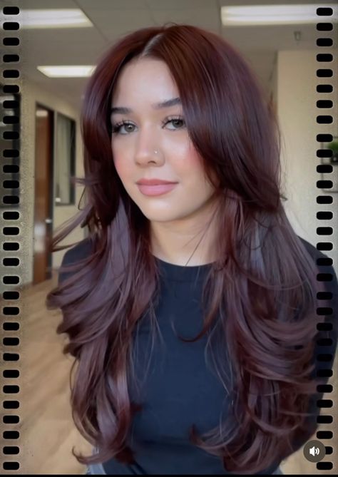 Burgundy Hair 2023, Dark Brown Hair With Red Violet Highlights, What Color Would Look Good On Dark Brown Hair, Cherry Red Hair With Long Layers, Cool Tone Fashion Color Hair, Dark Radiant Raspberry Hair Color, Red Hair For Black Hair, Brownish Maroon Hair, Hair Colour Fair Skin