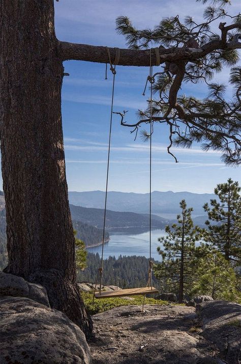 Rise & Shine (27 Photos) – Suburban Men Donner Lake, Foto Langka, Matka Natura, Tree Swing, Nature Aesthetic, Lake Tahoe, Belle Photo, New Hampshire, A Tree