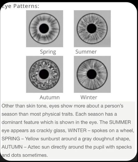 Soft Autumn Undertone, Kibbe Color Season, Color Seasons Eyes, Eye Season Iridology, Cool Color Wardrobe, Color Season Eye Pattern, Colors That Compliment Brown Eyes, Seasonal Color Analysis Eyes, Best Colors For Green Eyes