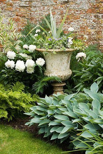 Voordeur bedding Vegetable Garden Soil, Funny Vine, Garden Urns, Have Inspiration, Garden Containers, French Garden, White Gardens, Garden Soil, Garden Cottage