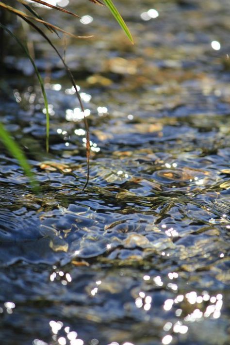 Fishing Pond, John Muir, Ponds, Land Scape, Belle Photo, Nature Beauty, Mother Earth, Beautiful World, In The Middle