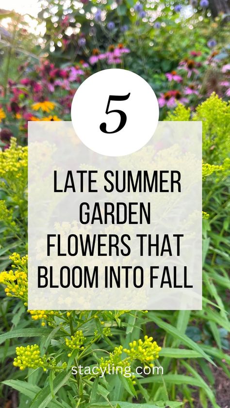 Plant these 5 late summer garden flowers to help bring your garden into fall with extended bloom times and beautiful fall colors. #gardendesign #gardenideas #gardeninspiration #flowerbedinfrontofhouse Late Summer Blooming Flowers, Late Summer Garden Planting, Fall Flowering Plants, Late Summer Planters, Fall Flower Garden Landscaping, Fall Garden Bed Ideas, Fall Flowerbeds Front Yards, Late Summer Decor, Fall Flower Beds In Front Of House