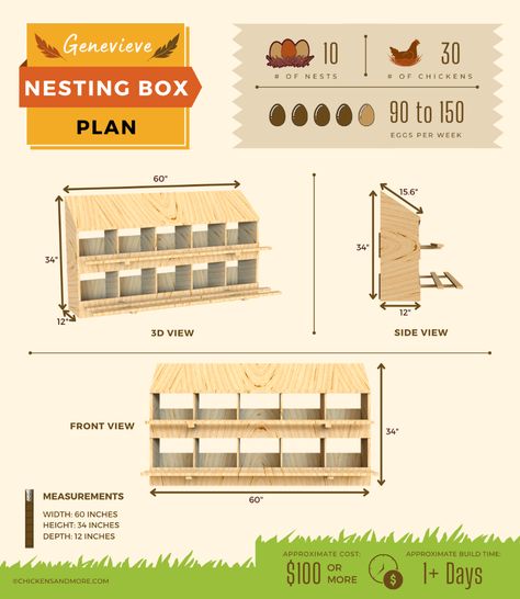 Chicken Laying Boxes Ideas Diy, Chicken Laying Boxes, Laying Boxes, Cowgirl Secrets, Diy Gazebo, Backyard Chicken Coop Plans, Chicken Nesting Boxes, Diy Chicken Coop Plans, Chicken Coop Designs