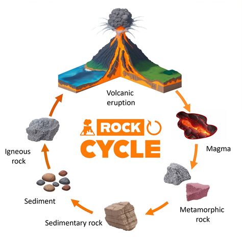 The Rock Cycle The Rock Cycle Projects, 3d Rock Cycle Project, Rock Cycle Diagram, Rock Cycle Project, Geology Lessons, Geography Notes, Types Of Rocks, Cycle Drawing, Geography Classroom