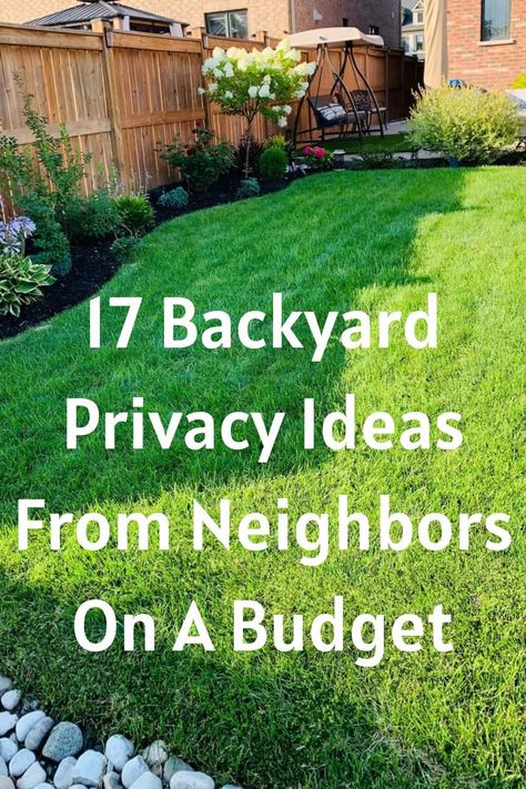 Creative Landscaping Ideas for a Stunning Garden (#97) - Vertical Gardens Pergola For Privacy, Backyard Privacy Ideas From Neighbors Fence, Backyard Patio Privacy Ideas, Small Garden Privacy Ideas, Ideas For Privacy From Neighbors, Garden Screening Ideas Cheap, Diy Outdoor Privacy Ideas, How To Landscape Backyard, How To Add Privacy To Backyard