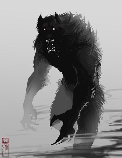 Werewolf Aesthetic, Creature Fantasy, Werewolf Art, Vampires And Werewolves, 다크 판타지, Mythical Creatures Art, Freddy Krueger, Monster Design, Wolf Art