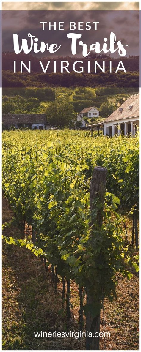 Best #WineTrails in #Virginia  #travel #WeekendGetaways #DC Travel Virginia, West Virginia Travel, Virginia Wine Country, Virginia Map, Virginia Wineries, Route 66 Road Trip, Wine Vineyards, Virginia Travel, Travel Bucket List Usa