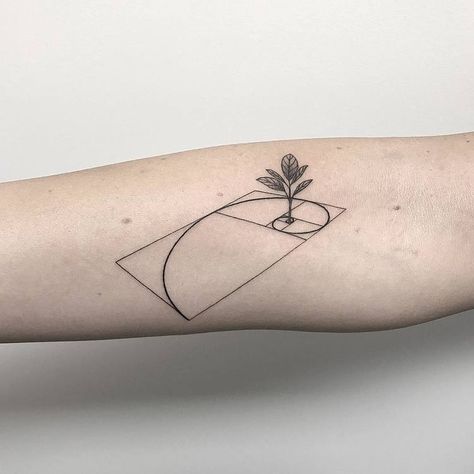 40 Amazing Fibonacci Tattoo Designs | TattooAdore Tatouage Fibonacci, Tattoo Animation, Animation Tattoo, Golden Ratio Tattoo, Designer Tattoo, Fibonacci Tattoo, Italy Tattoo, Minimalist Tattoo Meaning, Inspo Tattoo