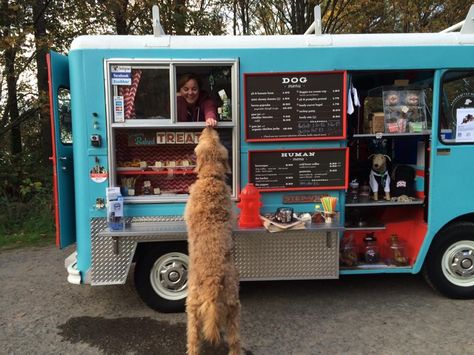 Dog Food Truck, Dog Daycare Design, Dog Daycare Business, Seattle Dog, Indoor Dog Park, Pet Store Ideas, Dog Boarding Facility, Pet Cafe, First Dog