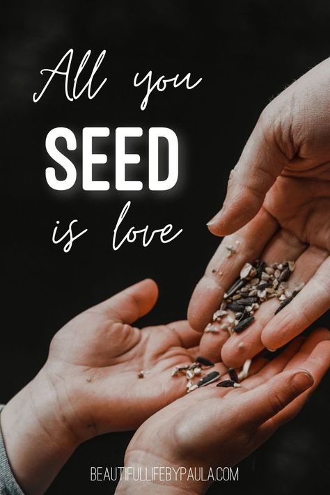 Planting Seeds Quotes, Plant Sayings, Seed Quotes, Healing Habits, Soul Collage, Gardening Quotes, The Tiny Seed, Funny Gardening, Homesteading Ideas