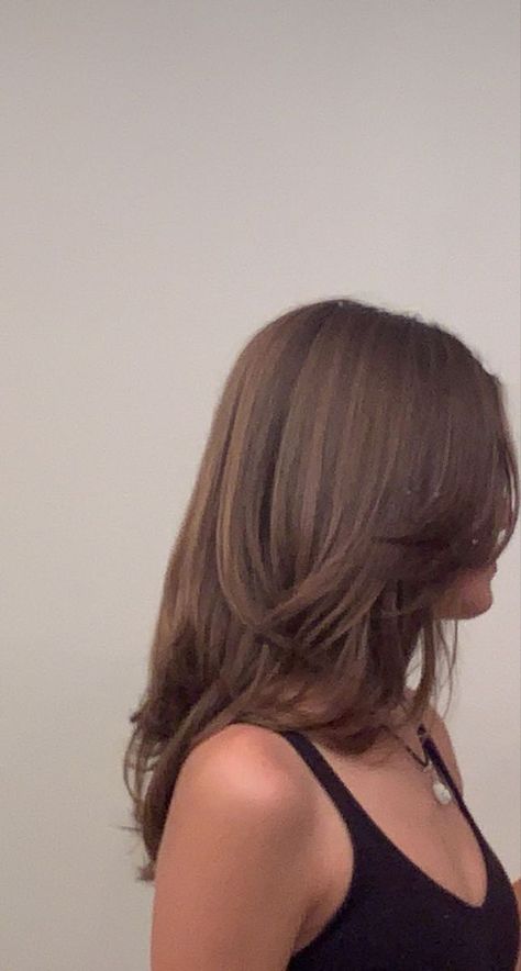 layers hair cut Armpit Length Hair, Layered Haircuts Straight Hair, Brown Layered Hair, Short Light Brown Hair, Brown Hair Cuts, Medium Length Brown Hair, Brunette Hair Cuts, Windows To The Soul, Haircuts For Medium Length Hair