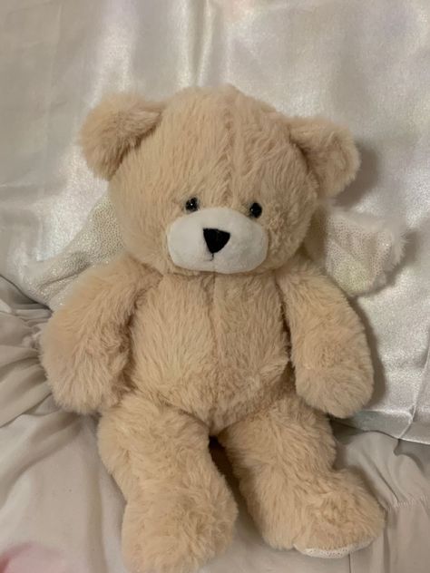 Teddy Bear Plush Aesthetic, Cute Teddies Stuffed Animals, Cute Bear Plushies, Jellycat Teddy Bear, Stuffed Animal Astethic, Stuffed Bear Aesthetic, Stuffed Toys Aesthetic, Stuff Animals Plush Aesthetic, Stuff Toys Aesthetic