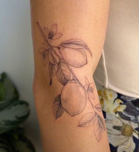 Botanical Hip Tattoos Women, Tangerine Branch Tattoo, Lemon And Flower Tattoo, Lemon Branch Tattoo Fine Line, Mango Branch Tattoo, Lemon Vine Tattoo, Orange Flowers Tattoo, Pear Blossom Tattoo, Lemon Blossom Tattoo