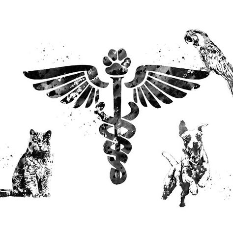 Veterinary Clinic Symbol Veterinary Symbol Tattoo, Vet Assistant Tattoo, Veterinarian Tattoo, Vet Tattoo, Vet Tech Tattoo, Veterinary Medicine Symbol, Veterinary Symbol, Pet Store Design, Vet Medicine