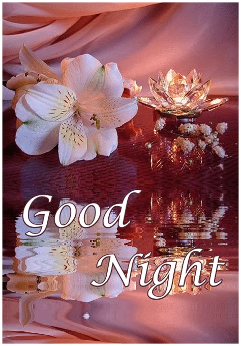 New Good Night Images, Good Night Images Hd, Lovely Good Night, Good Night Wallpaper, Good Night Beautiful, Good Night Everyone, Romantic Good Night, Night Wallpaper, Goodnight Quotes