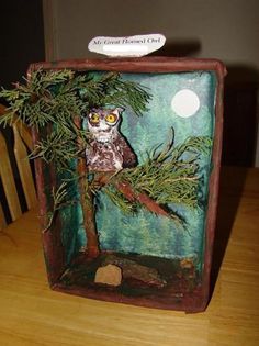 Owl Habitat | Dioramas, Plaster and Simple ... Owl Diorama, Owl Habitat, Owl Themed Parties, Diorama Kids, Owl School, Habitats Projects, Big Brother Little Sister, Art Supply Organization, Paper Owls