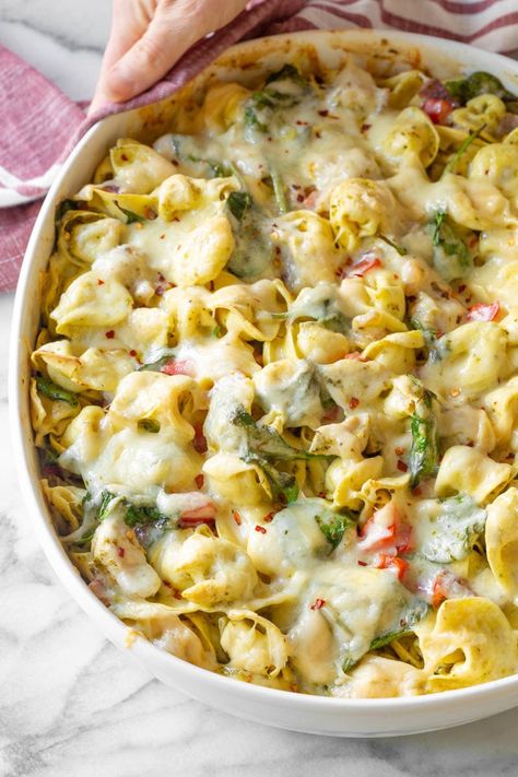 A simple zesty baked pesto chicken pasta with cheese tortellini, fresh spinach, and peppers. #aspicyperspective #foodblog #foodie #instayum #hungry #thekitchn #onmytable #dailyfoodfeed #foodlove #foodpic #instafood #foodstagram #tasty #chickenpestotortellini #tortellinirecipe #bakedtortellini #tortellini #pasta #baked #pesto #chicken #bakedchickenpasta #dinner #lunch #Casserole Tortellini Bake Recipes, Best Pasta Bake Recipe, Baked Tortellini Recipes, Baked Tortellini, Tortellini Recipe, Baked Pasta Dishes, Baked Pesto Chicken, Pesto Tortellini, Pesto Cheese