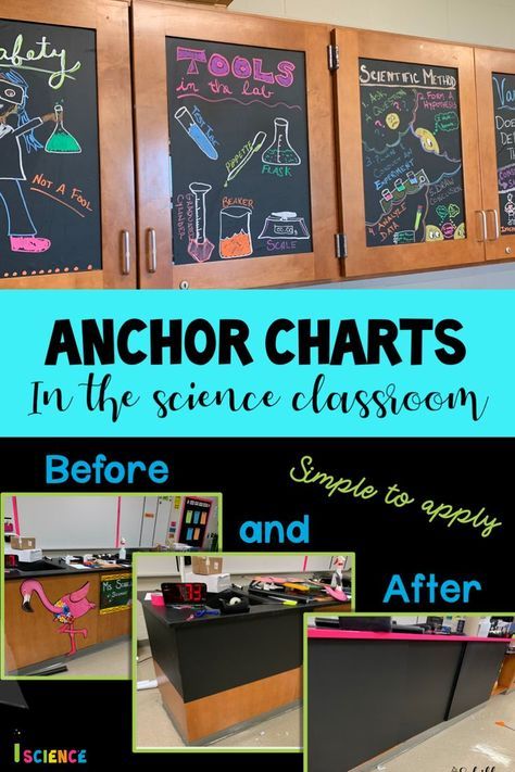 Biology Classroom Decorations Ideas, High School Science Room, Decorating Science Classroom, Science Lab Classroom Decorations, Ag Science Classroom, High School Science Classroom Ideas, Chemistry Teacher Classroom, Science Lab Classroom Design, Chemistry Anchor Charts High Schools