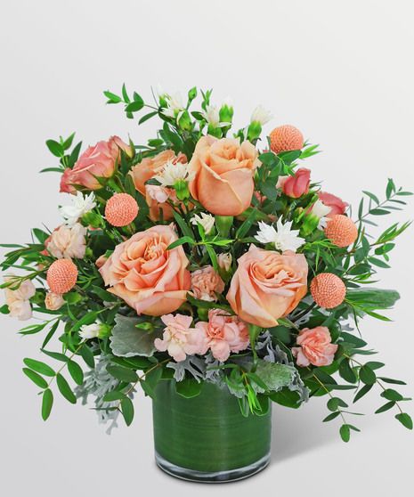 Flower Clique SKUs: ,TFWC-22P,TFWC-22C,TFWC-22G Our Apricoty Luxe design is a sweet way to show someone you care. Delicate Apricot roses bring life to this arrangement, as Carnations, Crespedia, and other Grand Design flowers and foliage fill it out beautifully. If you're looking for a birthday or housewarming gift that really expresses your love, look no further than our Apricoty Luxe design. Apricot Roses, Rose Meaning, Flower Dictionary, Poinsettia Care, Get Well Flowers, Luxe Design, Creative Flower Arrangements, Anniversary Flowers, Flower Care