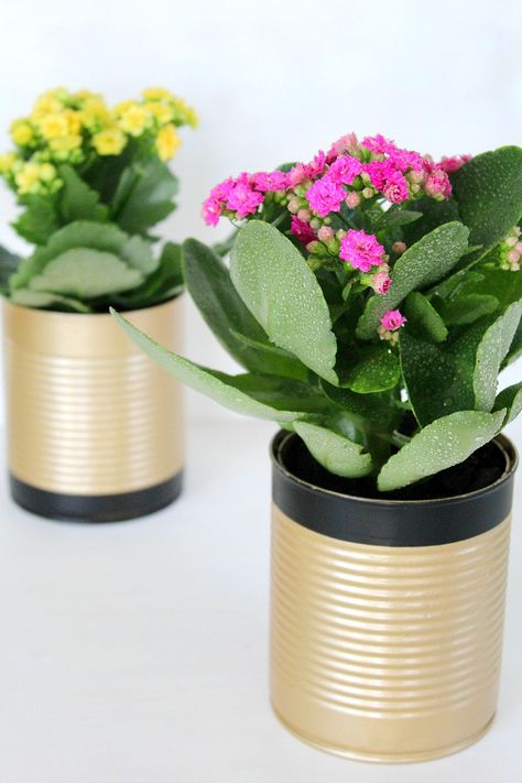 DIY recycled tin can flower pots - Instead of throwing away your tin cans, why not recycle them into something pretty and useful like some flower pots. Here’s how to make tin can flower pots in just a few easy steps. Can Flower Pots, Tin Can Planters, Can Planters, Tin Can Flowers, Tin Planters, Pots Diy, Recycled Tin Cans, Diy Hanging Shelves, Recycled Tin