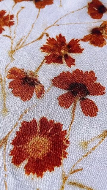 Coreopsis Dye, Marigold Dye, Natural Plant Dyes, Flower Dye, Flower Printing On Fabric, Eco Printing Fabric, Flower Dyed Fabric, Eco Print, Eco Printing Textiles