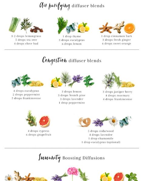 11 Essential Oil Diffuser Blends for Cold + Flu Season Helichrysum Essential Oil, Essential Oils For Colds, Essential Oils For Headaches, Essential Oil Diffuser Blends Recipes, Essential Oil Diffuser Recipes, Oil Diffuser Recipes, Boost Immunity, Essential Oil Blends Recipes, Essential Oil Diffuser Blends