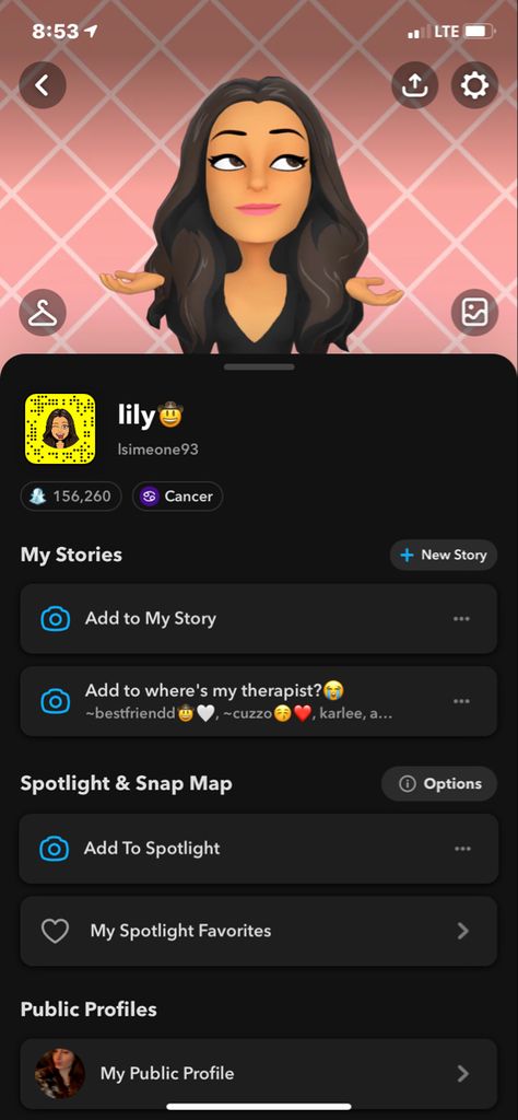 Snapchat Public Profile, Add Me On Snap, Snapchat Avatar, Public Profile, Add Me, News Stories, Snapchat, Lily, Map