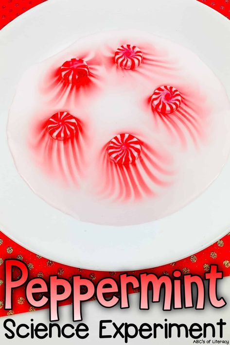 This Peppermint Science Experiment is an easy and fun way to teach young children about how sugar dissolves when mixed with warm water. Holiday Science Activities Preschool, Easy Winter Science Experiments For Kids, Christmas Theme Science Experiments, Winter Themed Science Preschool, Christmas Math And Science Activities Preschool, Christmas Theme Crafts Preschool, Winter Holiday Activities For Preschoolers, Fizzy Candy Cane Experiment, Christmas Science Experiments For Kindergarten