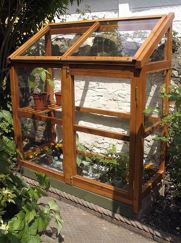 Serre Diy, Homemade Greenhouse, Plants Growing, Backyard Greenhouse, Small Greenhouse, Greenhouse Plans, Mini Greenhouse, Diy Greenhouse, Garden Greenhouse