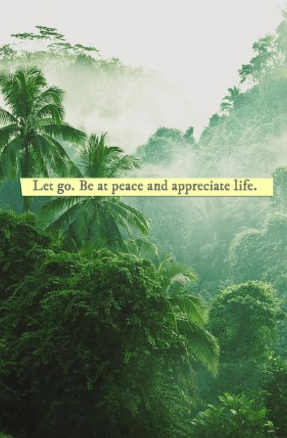 #quotes #inspirational #positive #smart #life Peace And Calm, Be At Peace, Appreciate Life, Life Poster, At Peace, Quotes About Strength, Inspiring Quotes, Let Go, Inner Peace