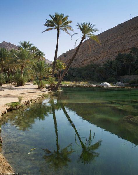 Living In The Desert, Oasis Aesthetic Desert, Water In Desert, Oasis Aesthetic, Oman Desert, Desert Forest, Oasis In The Desert, Timur Tengah, Desert Life