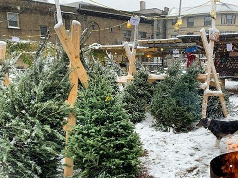 Oh Christmas tree, oh Christmas tree! We've got the run down on best Christmas Tree Farms in Pittsburgh so you can round up your crew and get to choppin’! Tree Lot Christmas Pictures, Bloxburg Christmas, Christmas Tree Lot, Christmas Tree Farms, Best Christmas Tree, Shell Island, Christmas Tree Lots, Christmas Tree Sale, Oh Christmas Tree