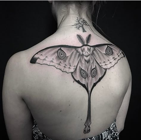 Comet Moth Tattoo, Witch Moth, Lunar Moth Tattoo, Comet Moth, Wing Tattoos On Back, Dm Tattoo, Sweet Person, Moth Tattoo Design, Shoulder Blade Tattoo