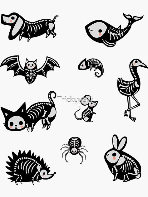 Halloween Skeleton Animals, Skeleton Cute Drawing, Skeleton Animals Drawing, Halloween Animals Drawing, Opossum Skeleton, Cute Skeleton Art, Animal Skeleton Drawing, Animal Skeleton Art, Cute Skeleton Drawing